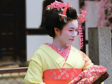 Japan Cultural Highlights: Tokyo, Mt. Fuji & Kyoto