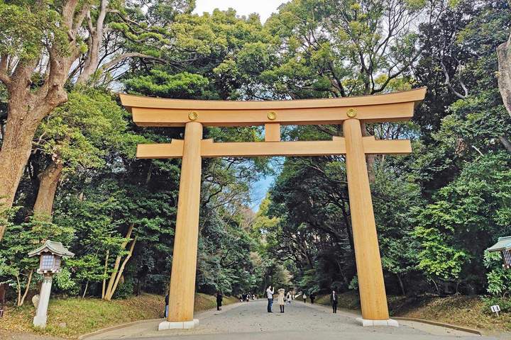 Japan Walking Trails Expedition: Crossing the Alps - image 2