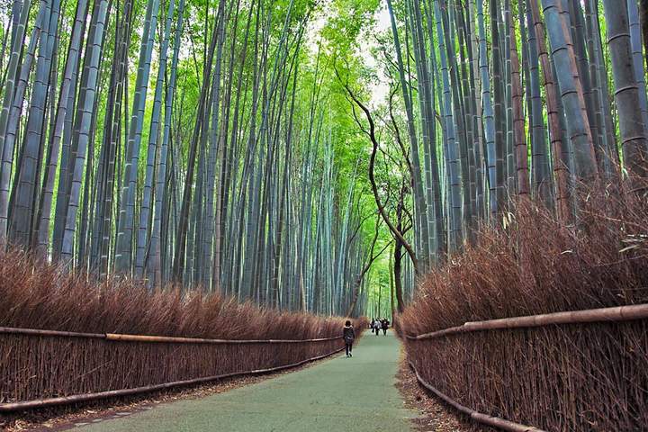 Japan Walking Trails Expedition: Crossing the Alps - image 14