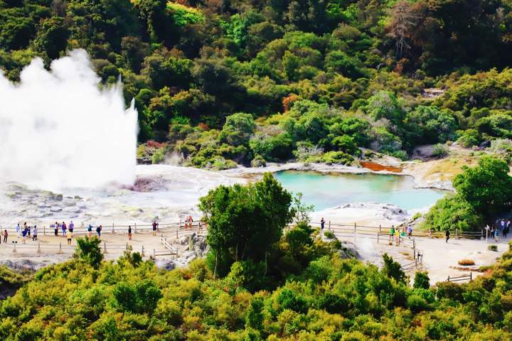 New Zealand Grand Self-Drive Tour from Auckland to Christchurch - image 4