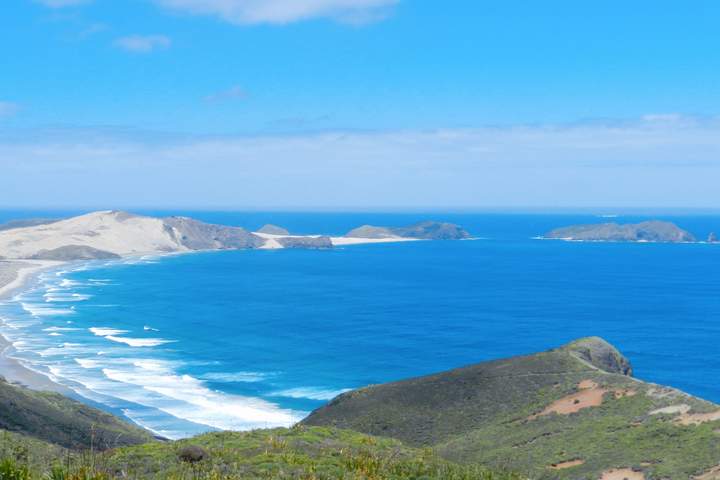 New Zealand Grand Self-Drive Tour from Auckland to Christchurch - image 6