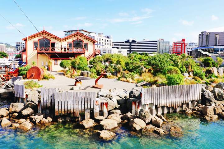 New Zealand Grand Self-Drive Tour from Auckland to Christchurch - image 5