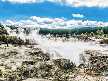 New Zealand North Island Discovery