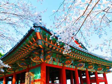 Hidden Gems of South Korea