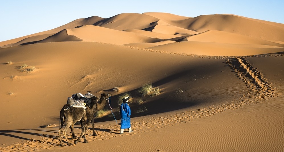 Gambia and Senegal Insight Guide Insight Guides